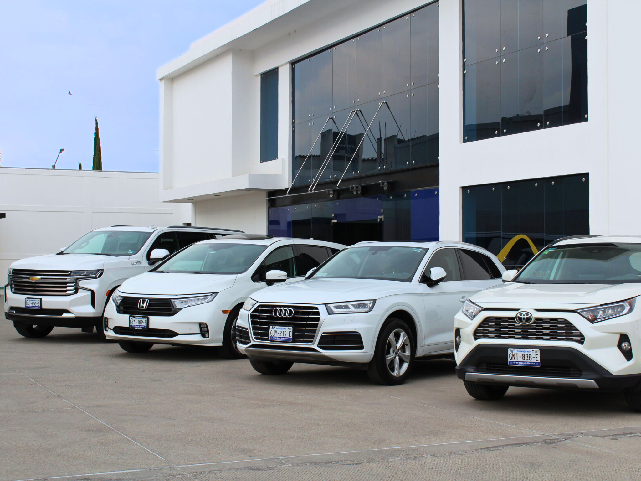 carros ejecutivos